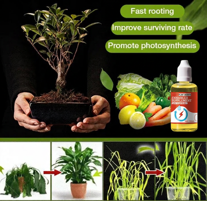 💥 Plant Growth Enhancer Supplement