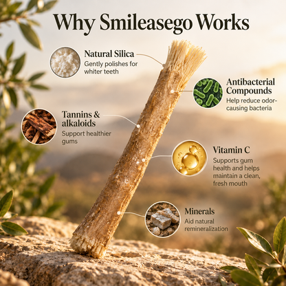 Smileasego - Nature's Original Toothbrush