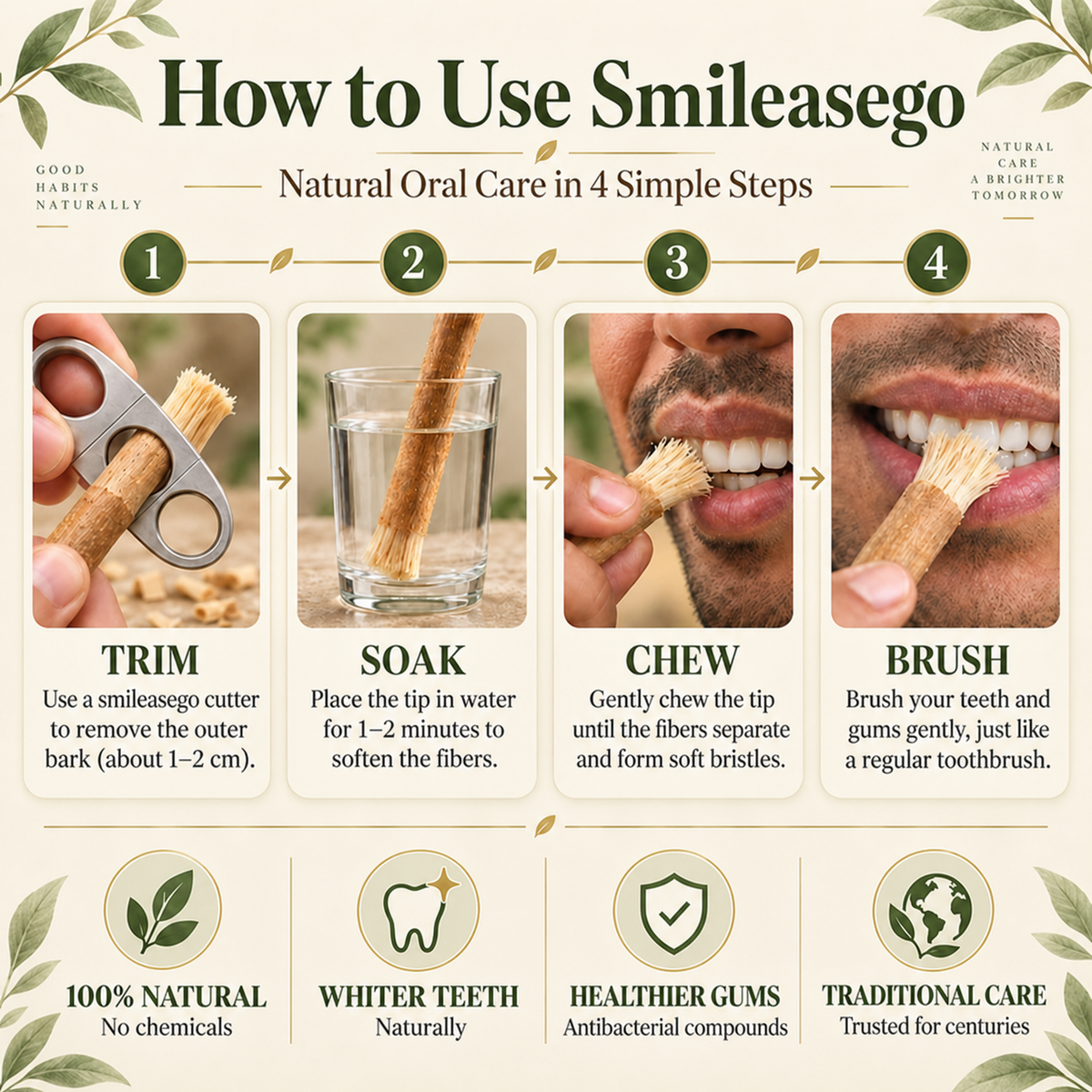 Smileasego - Nature's Original Toothbrush