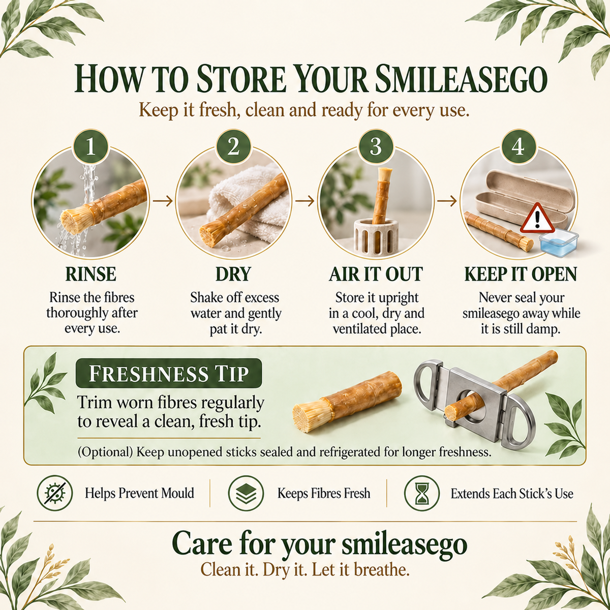 Smileasego - Nature's Original Toothbrush