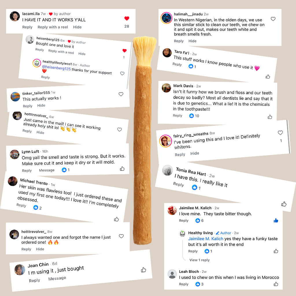 Smileasego - Nature's Original Toothbrush