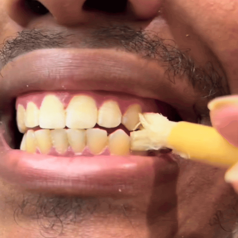 Smileasego - Nature's Original Toothbrush