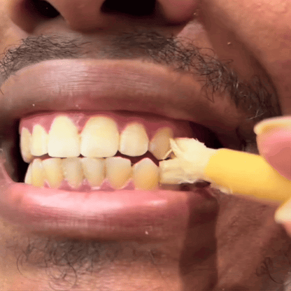 Smileasego - Nature's Original Toothbrush
